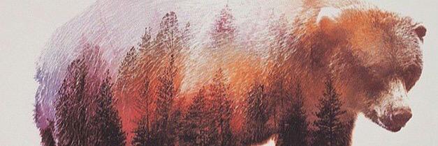Thomas Cogger banner
