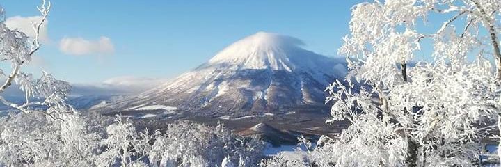 A L C H E 💫 banner