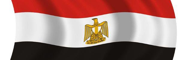 Abdelmoneim Amin banner