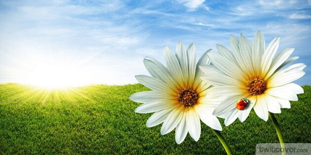 crystalizer's profile banner image