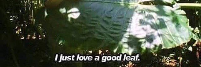 LeafusHendrix's profile banner image