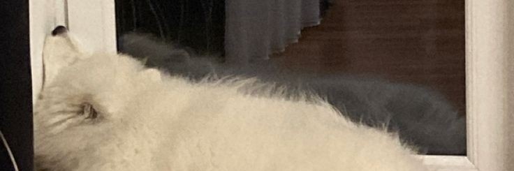 BRain_bkt 🤏🍖 banner