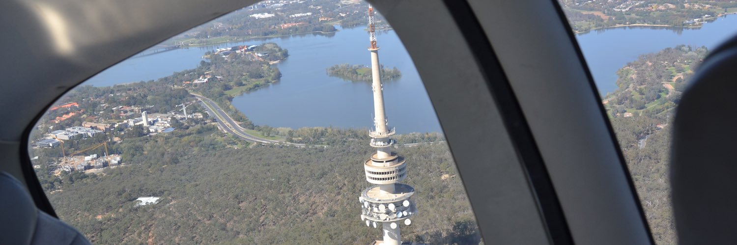Roberta Ruffolo banner