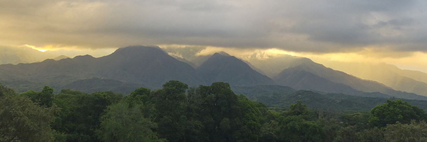 Mateo Gutiérrez banner