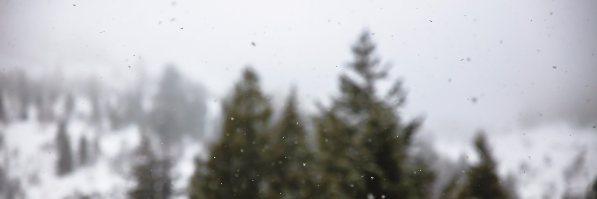 jayobyrne's profile banner image