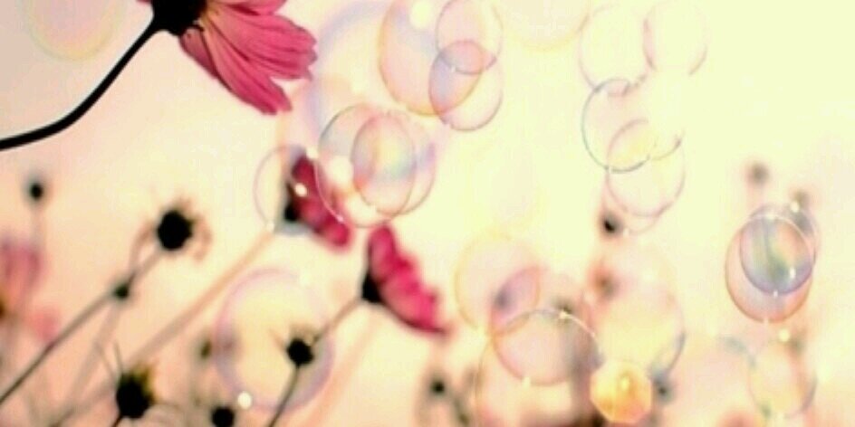 mariam_mariam3's profile banner image