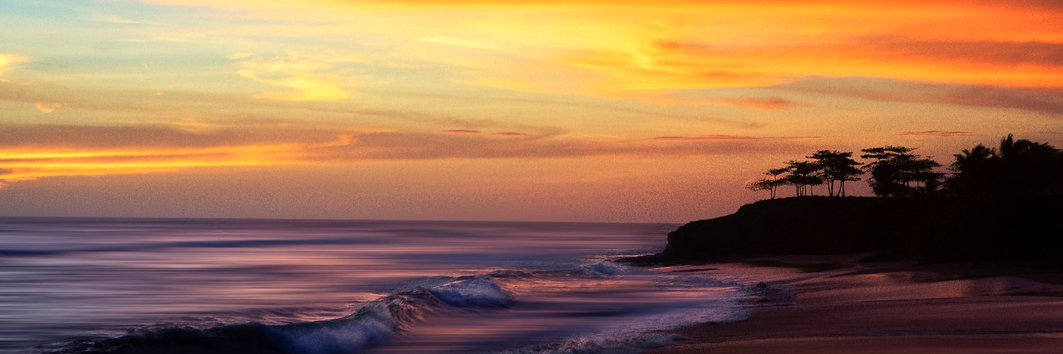 Suzanne Haggerty banner