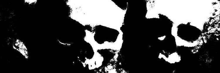 505 banner
