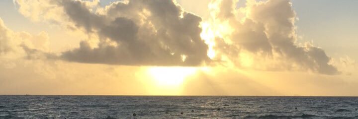 LDiLorenzo's profile banner image