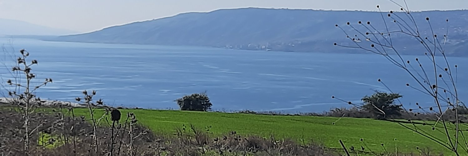 banishaphukela's profile banner image