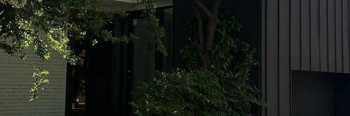 ˚c ;🌿 banner