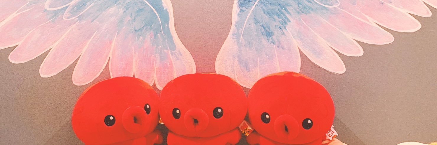 niraoishi_'s profile banner image