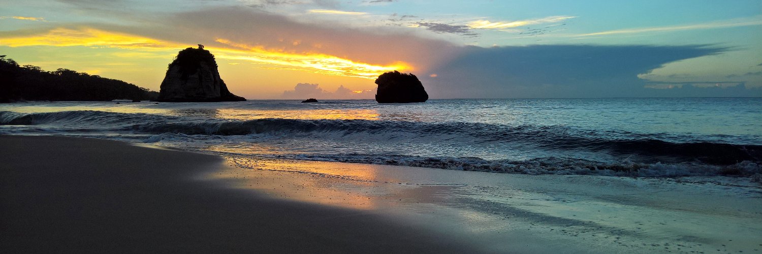 Antoine Emond banner