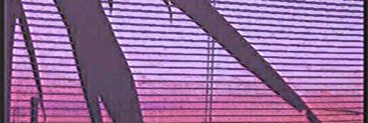 bunbun. banner