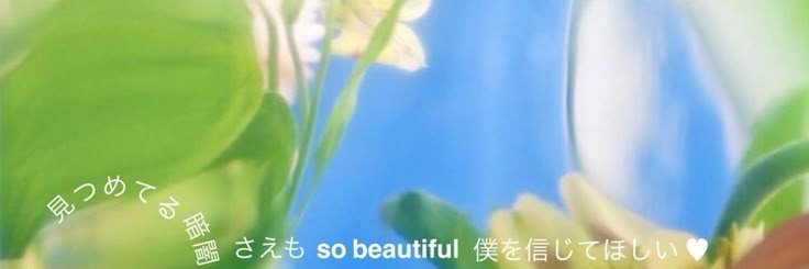 ☆rtsunami banner