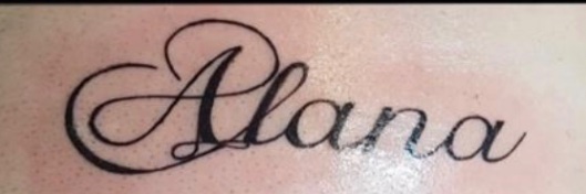 alanajanis banner