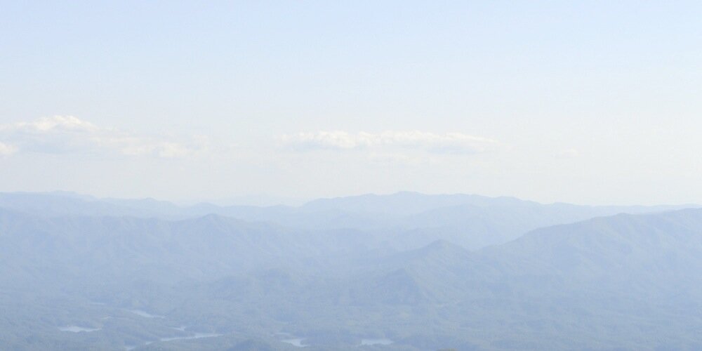 Lori banner