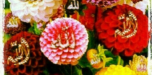 hasmah_anuar's profile banner image