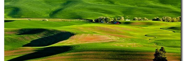 VisitthePalouse Profile Banner