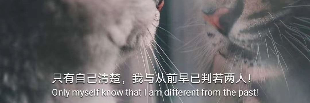 路西法（嘴巴淬毒版） banner