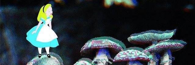 jonasisonfire's profile banner image
