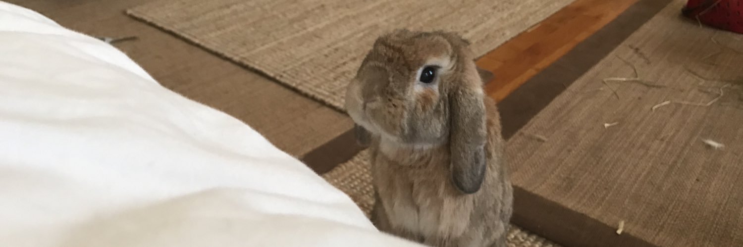 Chris Allieri banner