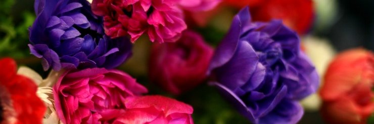 Rrose_Seravy's profile banner image