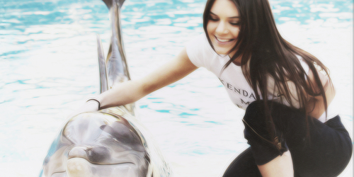 Kenny. banner