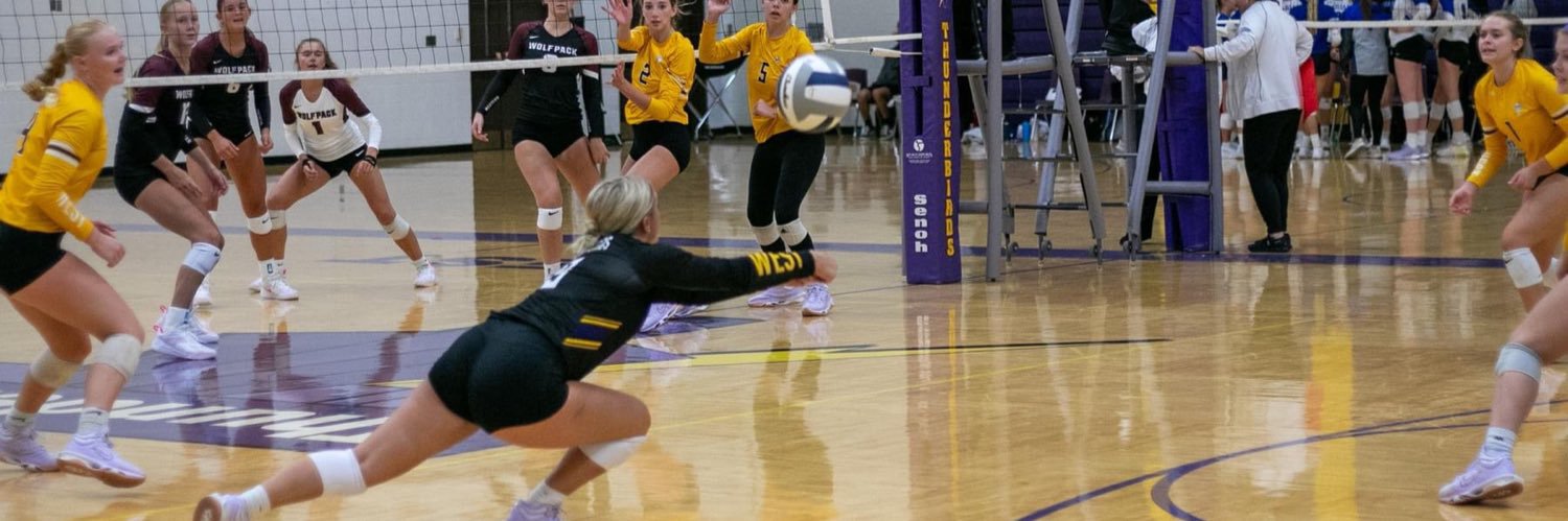 Anna Faiman #9 Libero's banner