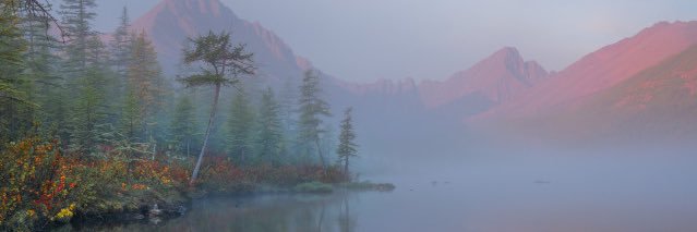 bbywolfe's profile banner image