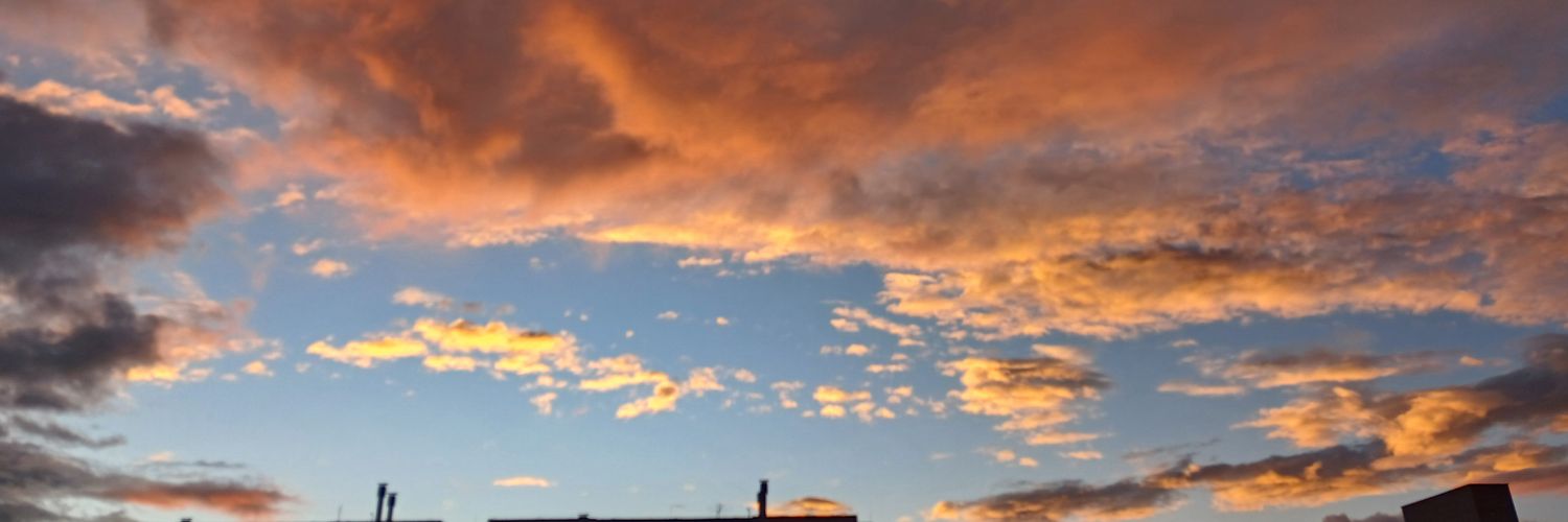 1ElaTin's profile banner image