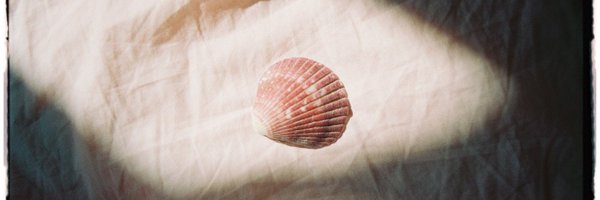 Barbarella_ Profile Banner