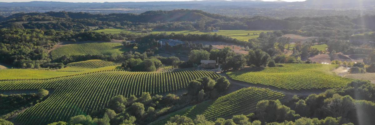 Cole Drake Events banner