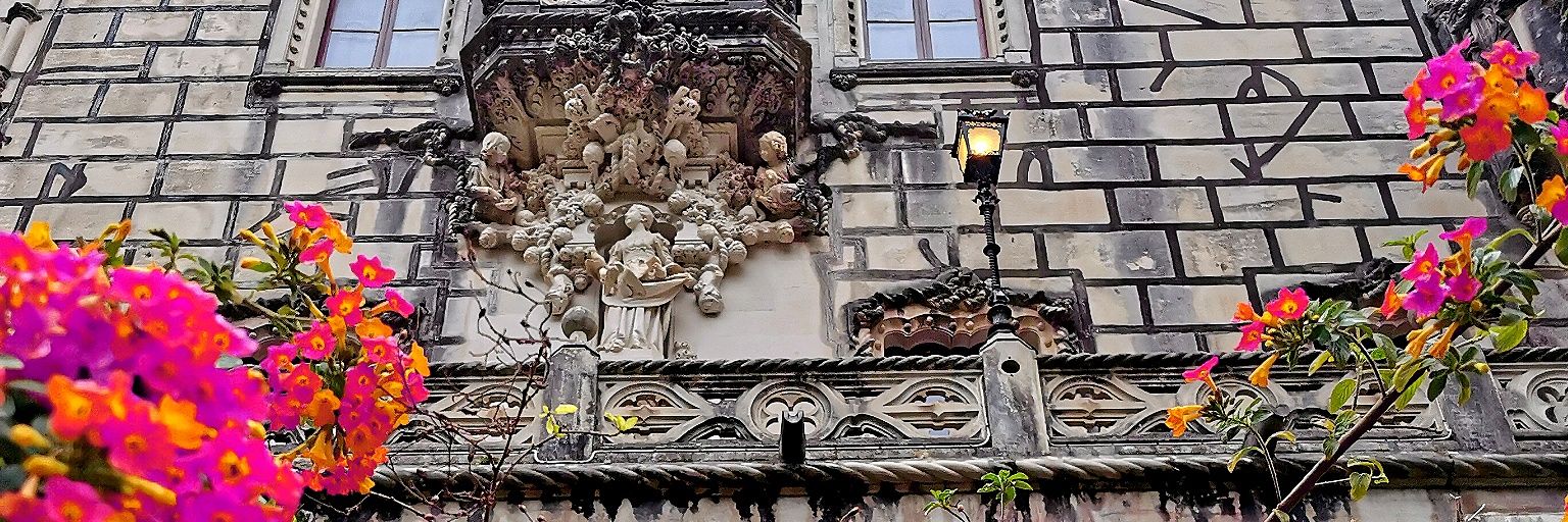 Levitriplesix banner