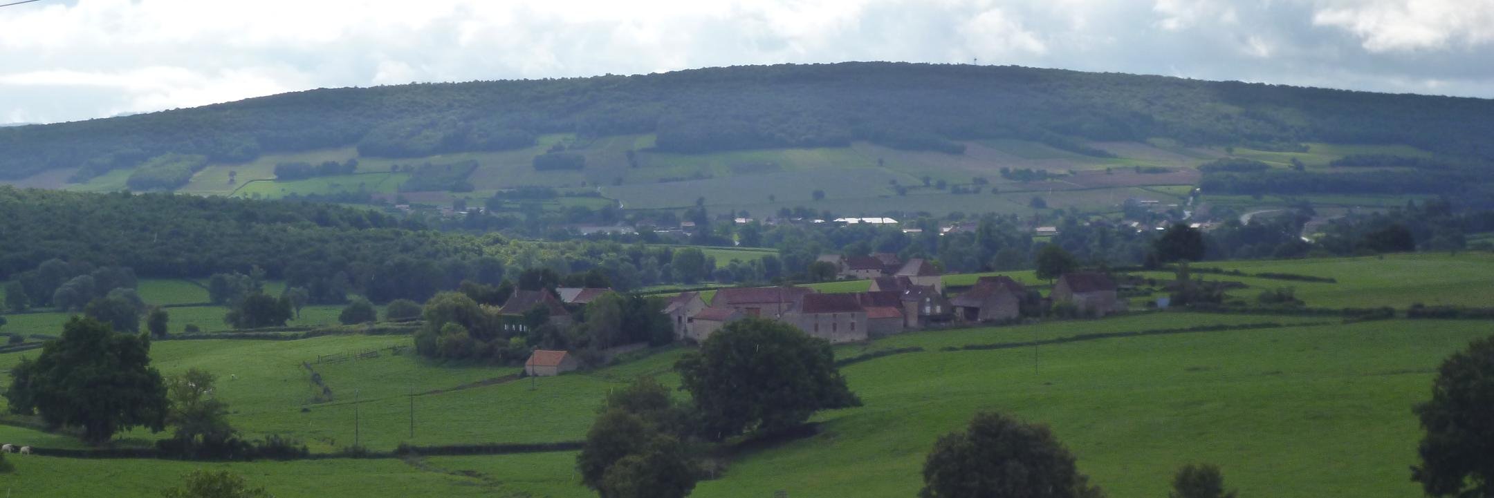 Martin Hoondert banner