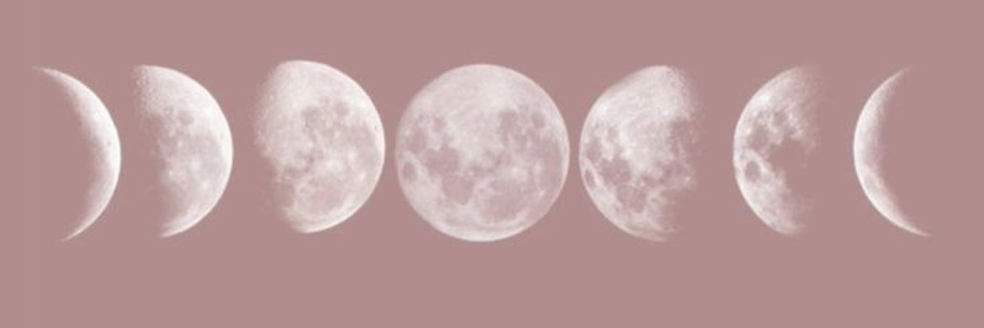 ___mgiselrom's profile banner image