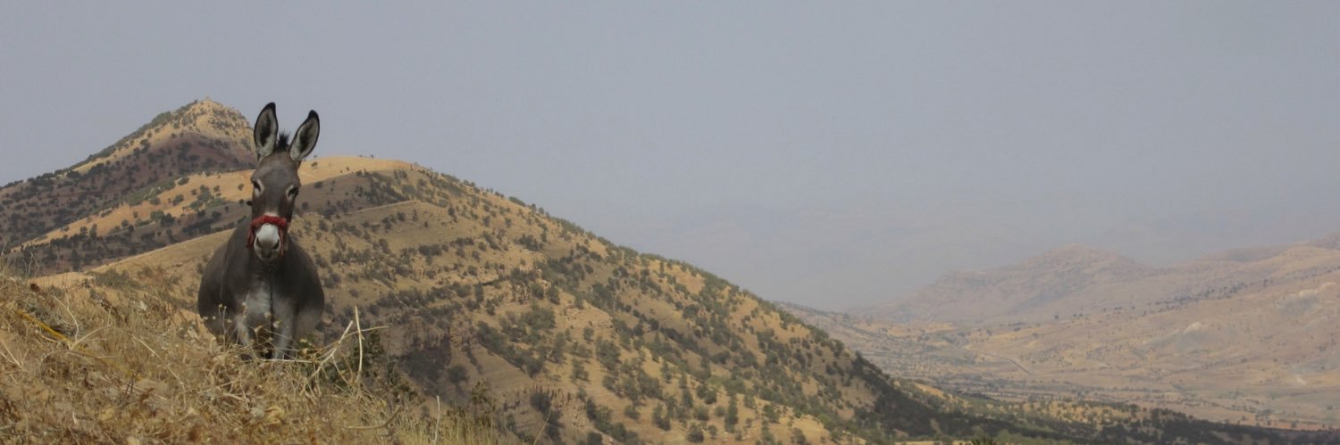 tsweeney's profile banner image