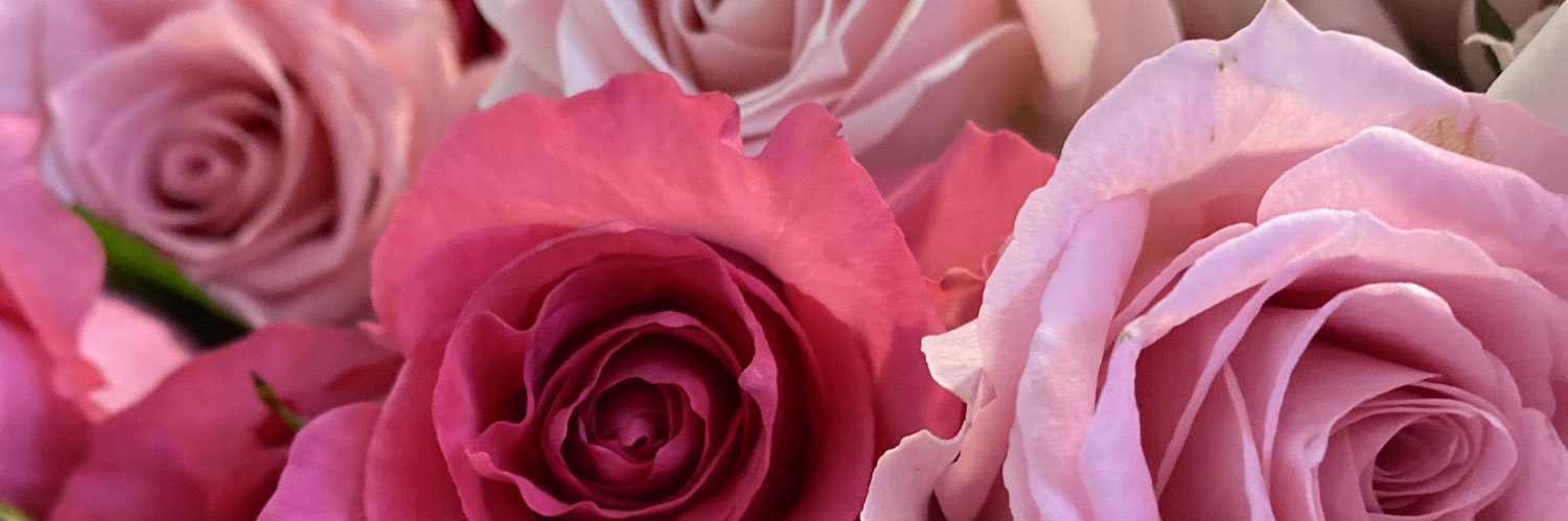 MiKaiNei's profile banner image