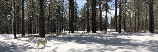 tidocarriero Profile Banner