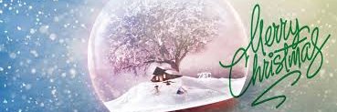 Quynh Tran (🐉 $MON) banner