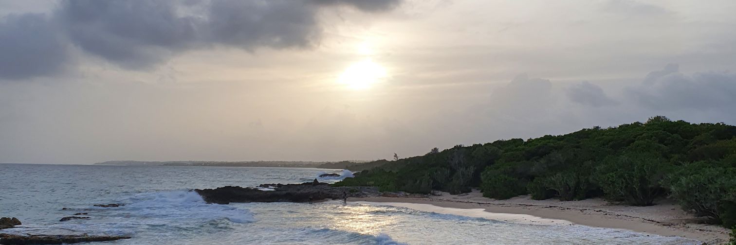 Celui qu'il te faut banner