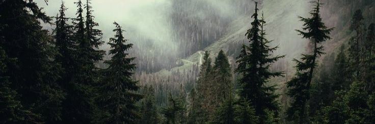 tiredmavmain's profile banner image