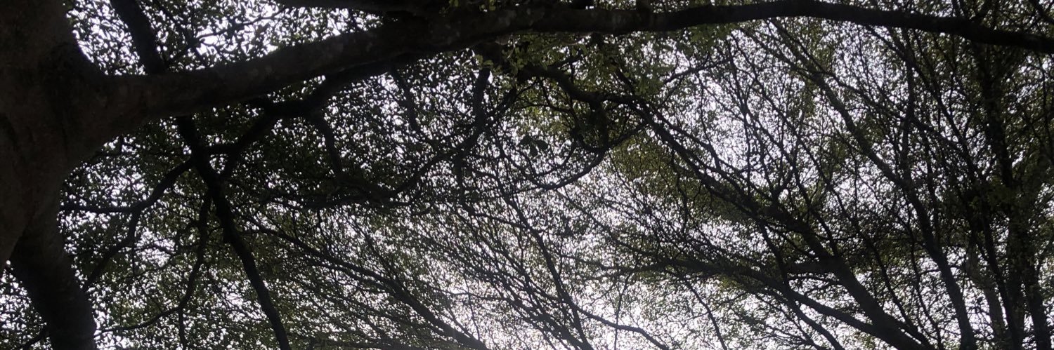 ppingpingpingg's profile banner image