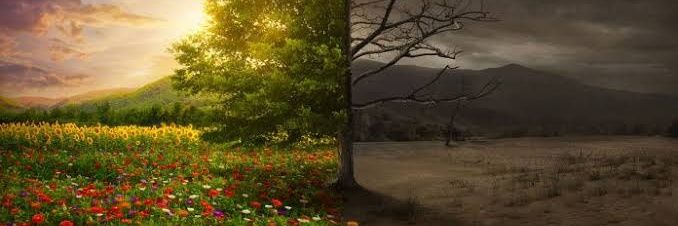 Azize ATLI ÖZBAŞ banner