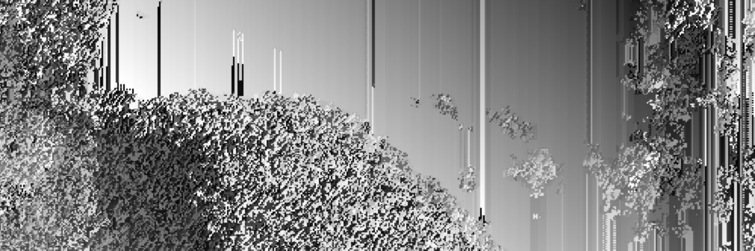 quantized's banner