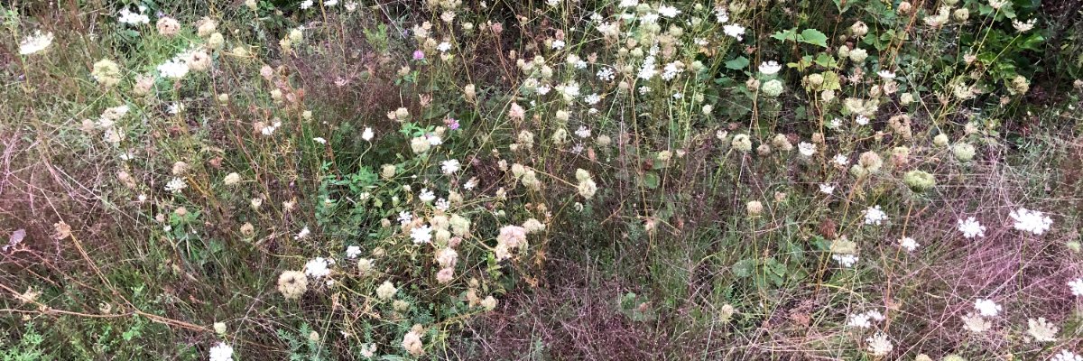 turn in the wind banner