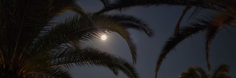 SH banner