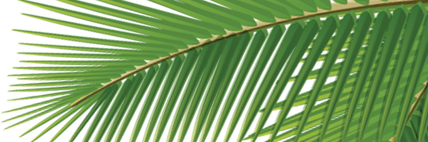 reidmorley's profile banner image
