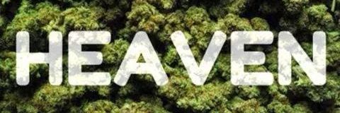 noahxsanchez's profile banner image