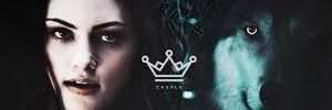 QueenOfHerPack's profile banner image